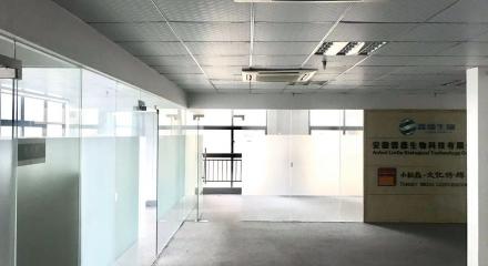 合肥租房市場新趨勢 365租房網與房屋托管服務的融合與發展